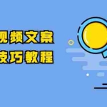 (1758期)抖音视频文案运营技巧教程:注册-养号-发作品-涨粉方法(10节视频课)