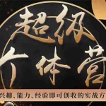 (1745期)超级个体营:解锁个人“优势”,实现个人品牌持续变现(视频课-无水印)
