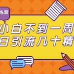 (1733期)清和行记引流训练营:小白不到一周便能日引流几十精准粉