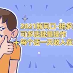 (1727期)2021新风口-拼多多虚拟店:可多店批量操作,每个店一天收入在200-1000