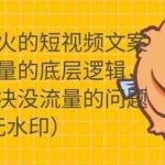 (1722期)只说话就会火的短视频文案课,从根本上解决没流量的问题【无水印】