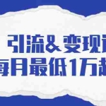 (1721期)引流&变现课:分享一整套流量方法以及各个渠道收入,每月最低1万起!