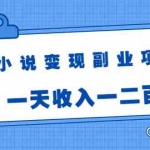 (1717期)小说变现副业项目:老项目新玩法,视频被动引流躺赚模式,一天收入一二百