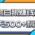 (1691期)某团队内部实战赚钱项目,一天500+利润,人人可做,超级轻松