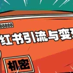 (1690期)小红书引流与变现:从0-1手把手带你快速掌握小红书涨粉核心玩法进行变现