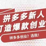 (1686期)拼多多新人打造爆款创业课:快速引流持续出单,适用于所有新人