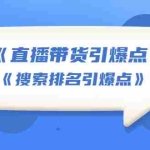 (1668期)王通《直播带货引爆点》+《搜索排名引爆点》(两套视频课)无水印
