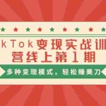 (1653期)龟课·TikTok变现实战训练营线上第1期,多种变现模式,轻松赚美刀