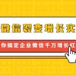 (1649期)企业微信裂变增长实战课:带你搞定企业微信千万增长红利,新流量-新玩法