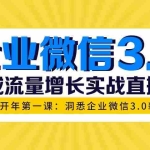 (1623期)企业微信3.0,私域流量增长实战直播课:洞悉企业微信3.0新红利