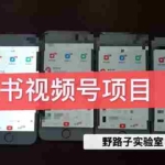 (1566期)野路子小红书课程月入过万:直接上手操作就能赚钱的视频号项目 可长久操作