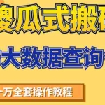 (1538期)傻瓜式搬砖操作大数据查询信用赚钱方法:助你快速月入6万全套操作教程