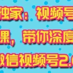 (1521期)视频号运营实战课2.0,目前市面上最新最全玩法,快速吸粉吸金(10节视频)