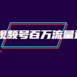 (1520期)微信视频号百万流量运营:行业定位+视频剪辑制作+视频百万曝光量分析