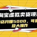 (1518期)黑帽子淘宝虚拟卖货项目,单店月赚5000,可批量放大操作(无水印-视频课)