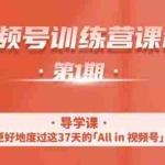 (1509期)视频号特训营,从零启动视频号30天,全营变现5.5万元【价值799元】无水印