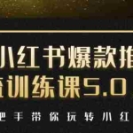 (1504期)小红书爆款推广引流训练课5.0,手把手带你玩转小红书(17节实操视频+话术)