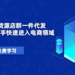 （1471期）从0起步做无货源店群一件代发实操玩法：新手快速进入电商领域（40节视频）