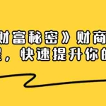 (1448期)《终极财富秘密》财商学习必修课程,快速提升你的财富(18节视频课)