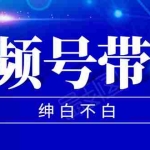 (1502期)2020年9月红利项目:视频号带货,实测单个账号稳定日收入300左右(附素材)