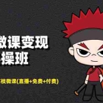 (1476期)荔枝微课变现实操:微信号+社群+荔枝微课(直播+免费+付费)年赚100w(无水印)