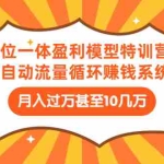 (1429期)五位一体盈利模型特训营:全自动流量循环赚钱系统:月入过万甚至10几万