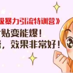 (1422期)《小红书超级暴力引流特训营》随便发个贴变能爆,详细实操,效果非常好!