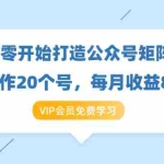 (1419期)《从零开始打造公众号矩阵》批量操作20个号,每月收益大概8-12W(44节课)