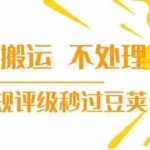 (1394期)抖音纯搬运 不处理 小技巧,30秒发一个作品,避免违规评级秒过豆荚(无水印)