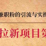 (1387期)CPA拉新项目实战班第二期:豆瓣兼职粉引流与变现 单用户赚1300佣金(无水印)