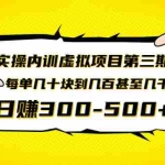 (1389期)实操内训虚拟项目第三期,每单几十块到几百甚至几千,日赚300-500+(无水印)