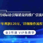 (1374期)阿里国际站引爆销量的推广引流攻略,半年利润120万,详细操作流程(全3节课)