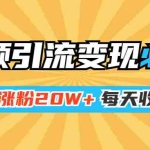 (1368期)小明兄短视频引流变现必火课,两天涨粉20W+,每天收益3W+(全套实操课)