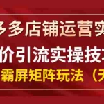 (1342期)拼多多店铺运营实操,低价引流实操技巧,拼多多霸屏矩阵玩法(无水印)
