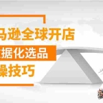 (1320期)亚马逊全球开店数据化选品实操技巧:驱动新品爆款打造系统(无水印-视频)