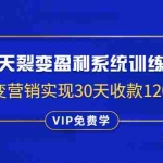 (1317期)14天裂变盈利系统训练营:靠裂变营销实现30天收款1200万(无水印)