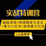 (1314期)实战特训营:超级诱饵+同城精准引流法+暴力小红书+贴吧暴力引流(视频课程)
