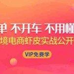 (1311期)跨境电商虾皮Shopee基础系列课程,教你如何在shopee开店赚钱【完整无水印】