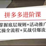 (1297期)拼多多进阶课 掌握底层规则+活动推广+实操全流程+实战引爆流量