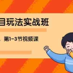 (1190期)宅男 《闲鱼项目玩法实战班 》线上第八期,第1-3节视频课(无水印)