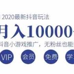 (1075期)2020最新抖音玩法:抖音小游戏推广,无粉丝也能操作,月入10000+