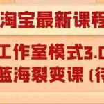 (1046期)淘宝无货源店群项目最新教程,轻松月入过万元(附全套软件)