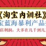 (1039期)《淘宝内训社》淘宝蓝海暴利产品操盘,单店利润,大多在几千到几万
