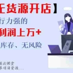（999期）【京东无货源开店】执行力强的每天毛利润上万+无货源、无库存、无风险