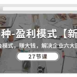 (10726期)27种-盈利模式【新版】会模式,赚大钱,解决企业六大困境 (27节课)