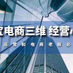 (10761期)淘宝电商三维 经营心法:电商运营和电商老板必看课(59节课)