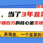 (10759期)悟了,当了3年韭菜,才发现网赚圈年赚100万的核心是卖项目,含泪分享!