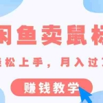 (10755期)最新闲鱼卖鼠标项目,新手小白轻松上手,月入过万简简单单的赚钱教学