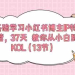 10764期）0基础学习小红书博主IP特训营，37天 教你从小白到KOL（13节）