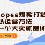 (10777期)Shopee-爆款打造核心运营方法,下一个大卖就是你(13节课)